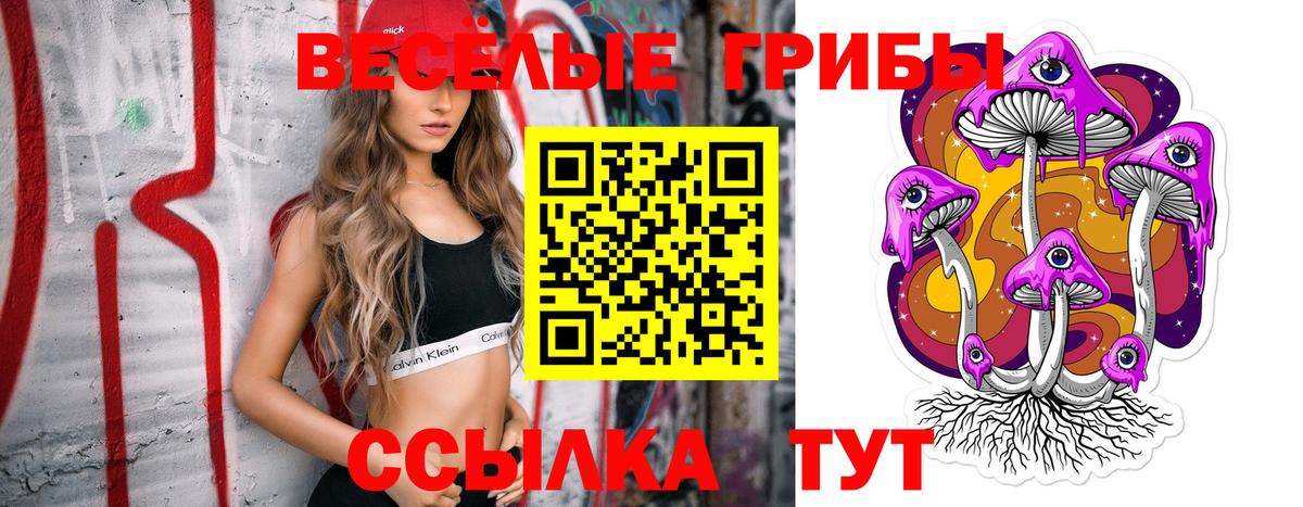 Щёлково  Галлюциногенные грибы Psilocybe  как найти наркотики  Вход с VPN 